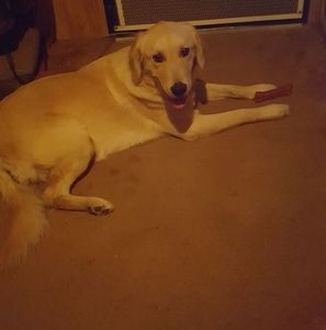 Meet your Posher, Gary